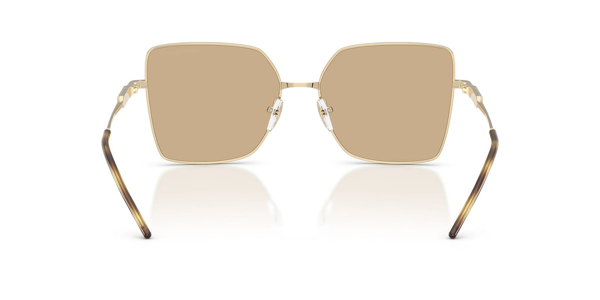 Emporio Armani EA2179 3013/73 Sunglasses