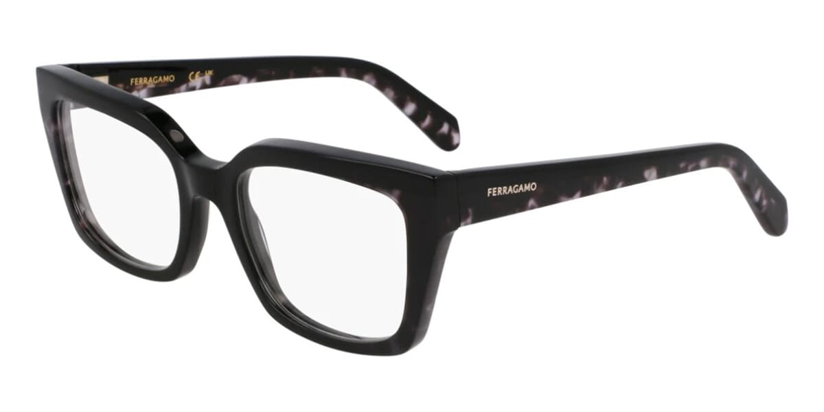 Ferragamo SF3010 004 Glasses