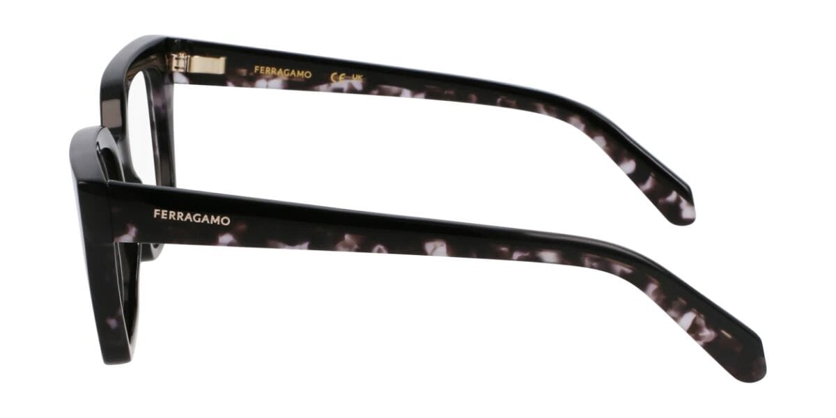 Ferragamo SF3010 004 Glasses