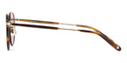 Garrett Leight Wilson Sun 4003 SPBRNSH-CO/SFPGN Sunglasses