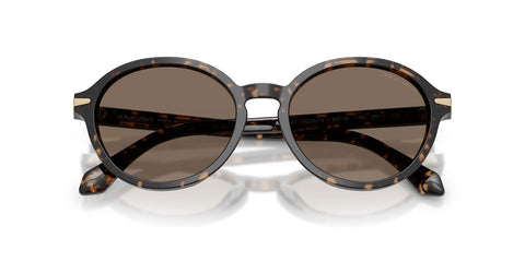 Giorgio Armani AR8237 6235/73 Sunglasses