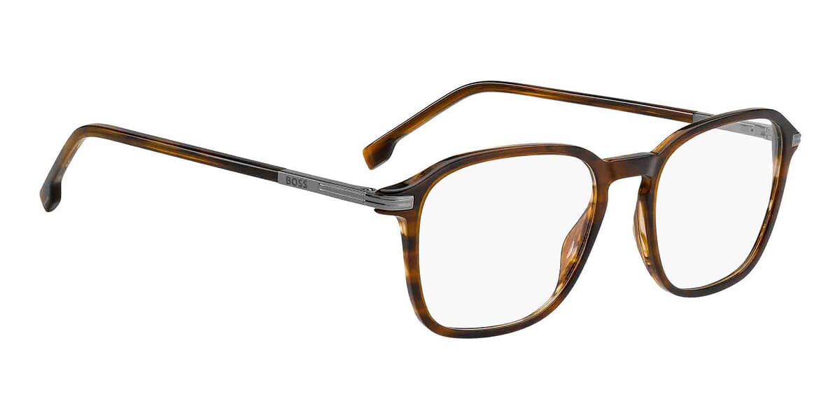 Hugo Boss 2010 EX4 Glasses