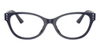 Jimmy Choo JC3003BU 5016 Glasses