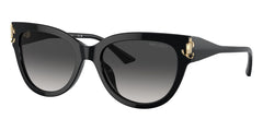 Jimmy Choo JC5018U 5000/8G