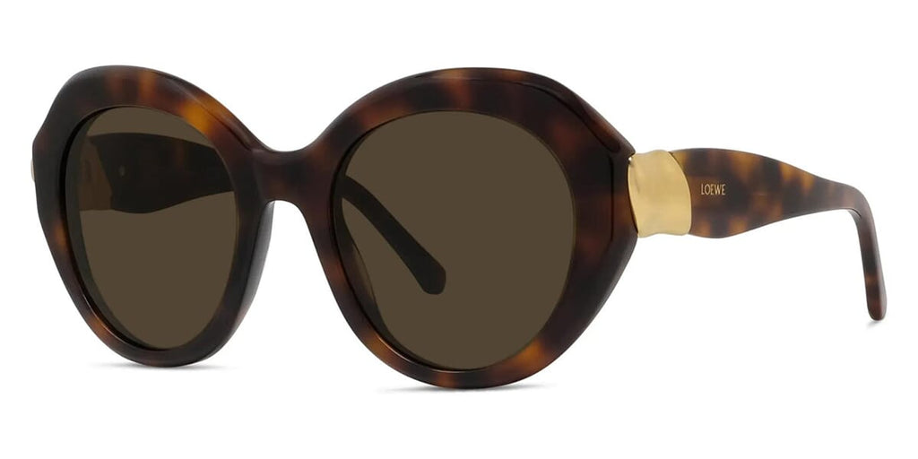 Loewe Coil LW40203I 52E Sunglasses