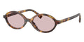 Miu Miu MU 04ZS 14L4I0 Sunglasses