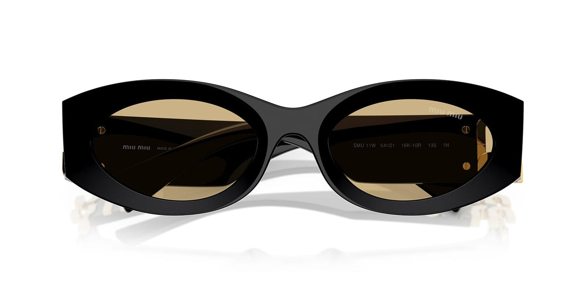 Miu Miu MU 11WS 16K10R Sunglasses