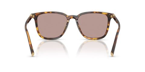 Miu Miu MU B03S 14L20I Sunglasses