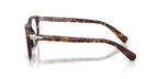Persol Gianni 3406V 24 Glasses