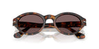 Persol Loris 3378S 1052/53 Sunglasses