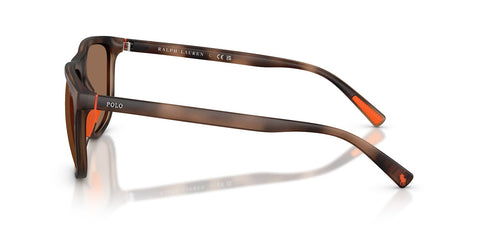 Polo Ralph Lauren PH4231U 5974/73 Sunglasses