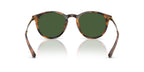 Polo Ralph Lauren PH4239U 5003/71 Sunglasses