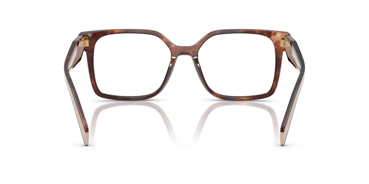Prada PR B03V 07R1O1 Glasses