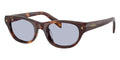 Prada PR C08S 15W30X Sunglasses
