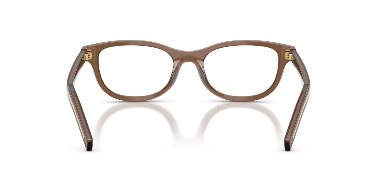 Prada PR D01VU 28I1O1 Glasses