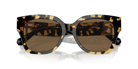 Ralph Lauren The Oversized Ricky RL8221 5004/73 Sunglasses