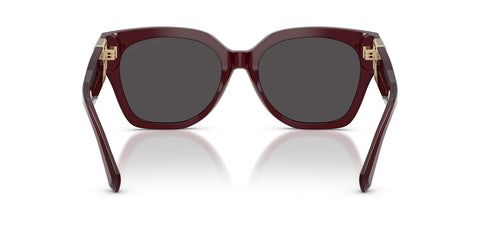 Ralph Lauren The Overszed Ricky RL8221 5083/87 Sunglasses