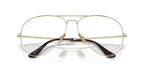 Ray-Ban Aviator Titanium RB 8789 1246 Glasses