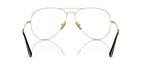 Ray-Ban Aviator Titanium RB 8789 1246 Glasses