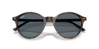 Ray-Ban Bernard RB 2230 1356/R5 Sunglasses