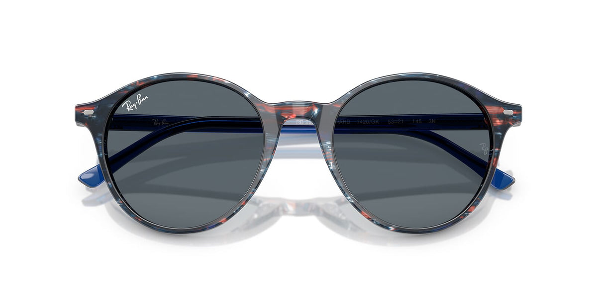Ray-Ban Bernard RB 2230 1420/GK Sunglasses