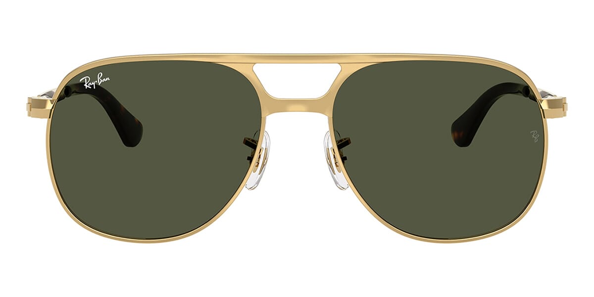 Ray-Ban Bill Max RB 3793 001/31 Sunglasses