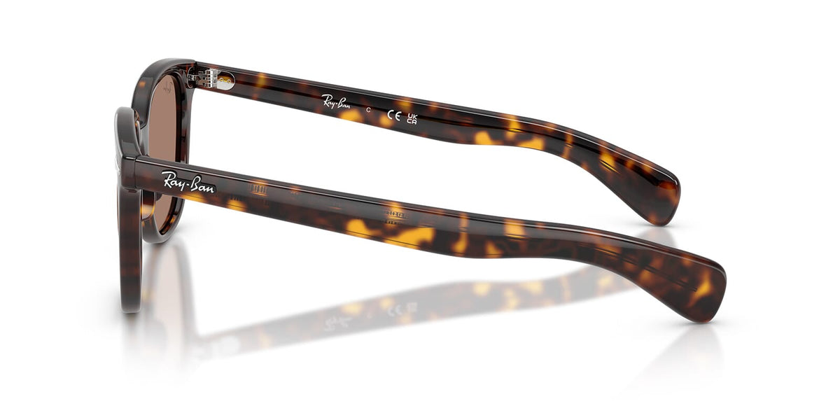 Ray-Ban Brunel II RB 2235 902/1A Sunglasses