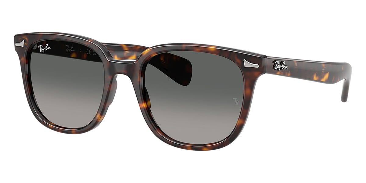Ray-Ban Brunel II RB 2235 902/71 Sunglasses