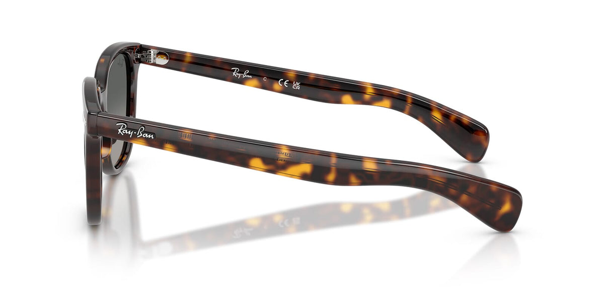 Ray-Ban Brunel II RB 2235 902/71 Sunglasses