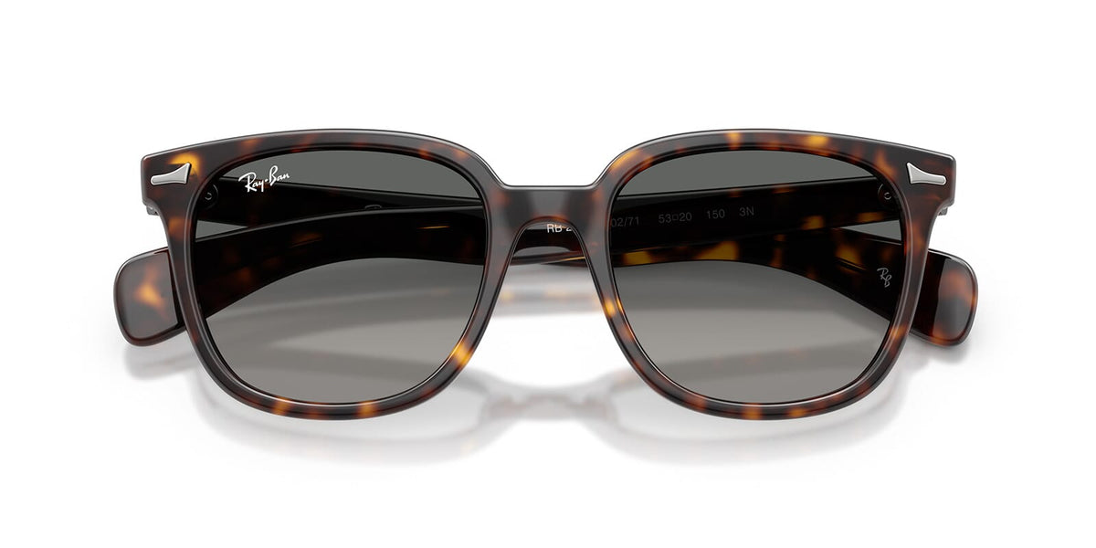 Ray-Ban Brunel II RB 2235 902/71 Sunglasses