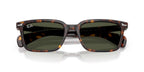 Ray-Ban Brunel RB 2234 902/31 Sunglasses