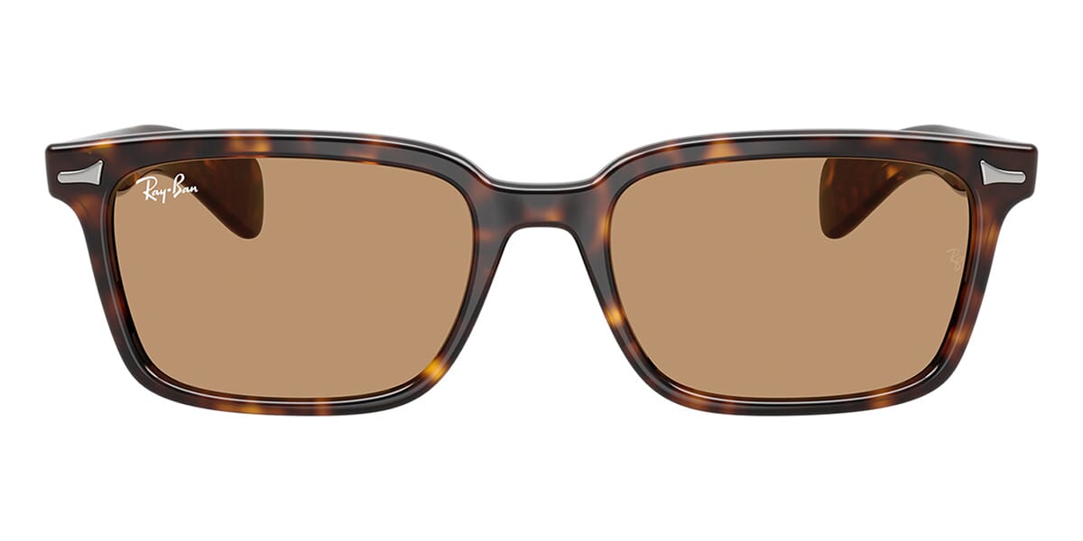 Ray-Ban Brunel RB 2234 902/53 Sunglasses