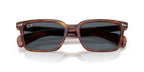 Ray-Ban Brunel RB 2234 954/R5 Sunglasses