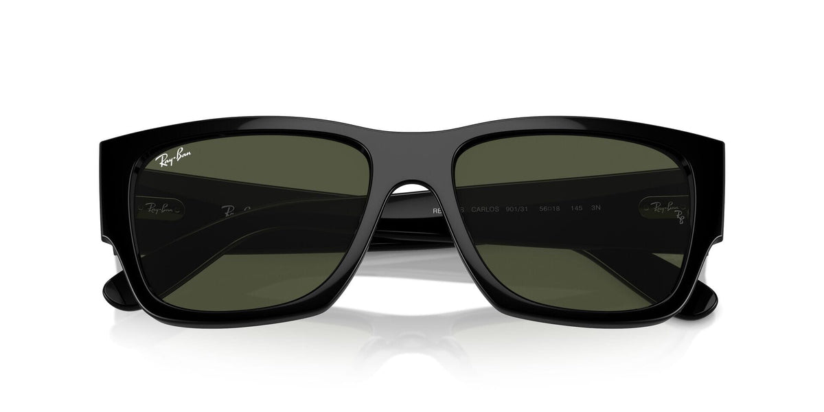 Ray-Ban Carlos RB 0947S 901/31 Sunglasses