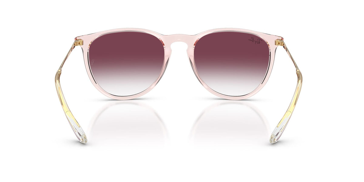 Ray-Ban Erika RB 4171 6742/8H Sunglasses