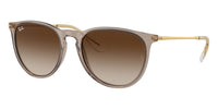 Ray-Ban Erika RB 4171 6744/13