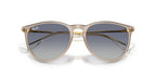 Ray-Ban Erika RB 4171 6744/4L Sunglasses