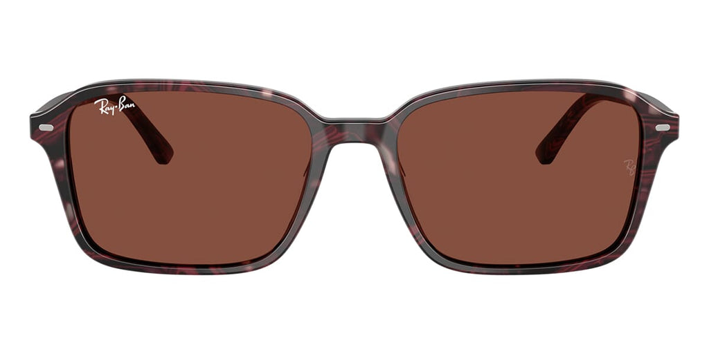 Ray-Ban Raimond RB 2231 1416/C5 Sunglasses