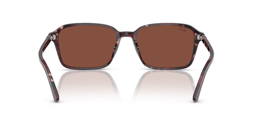 Ray-Ban Raimond RB 2231 1416/C5 Sunglasses