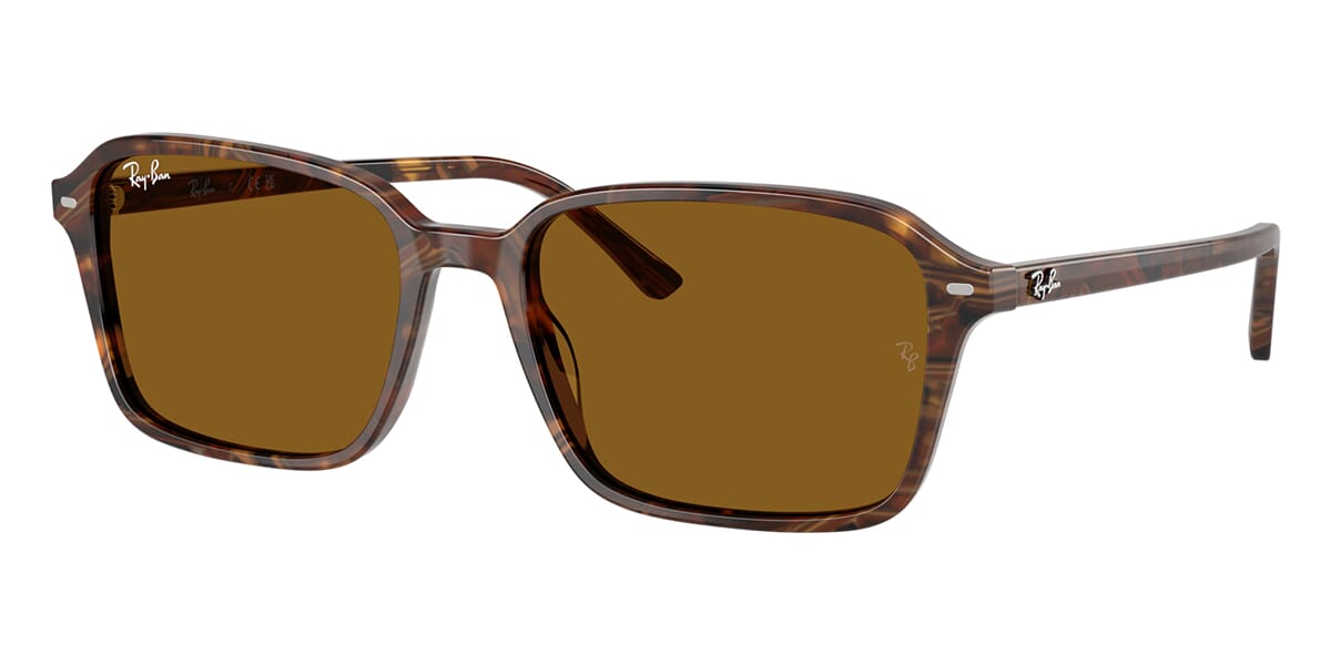 Ray-Ban Raimond RB 2231 1418/33 Sunglasses
