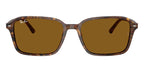 Ray-Ban Raimond RB 2231 1418/33 Sunglasses