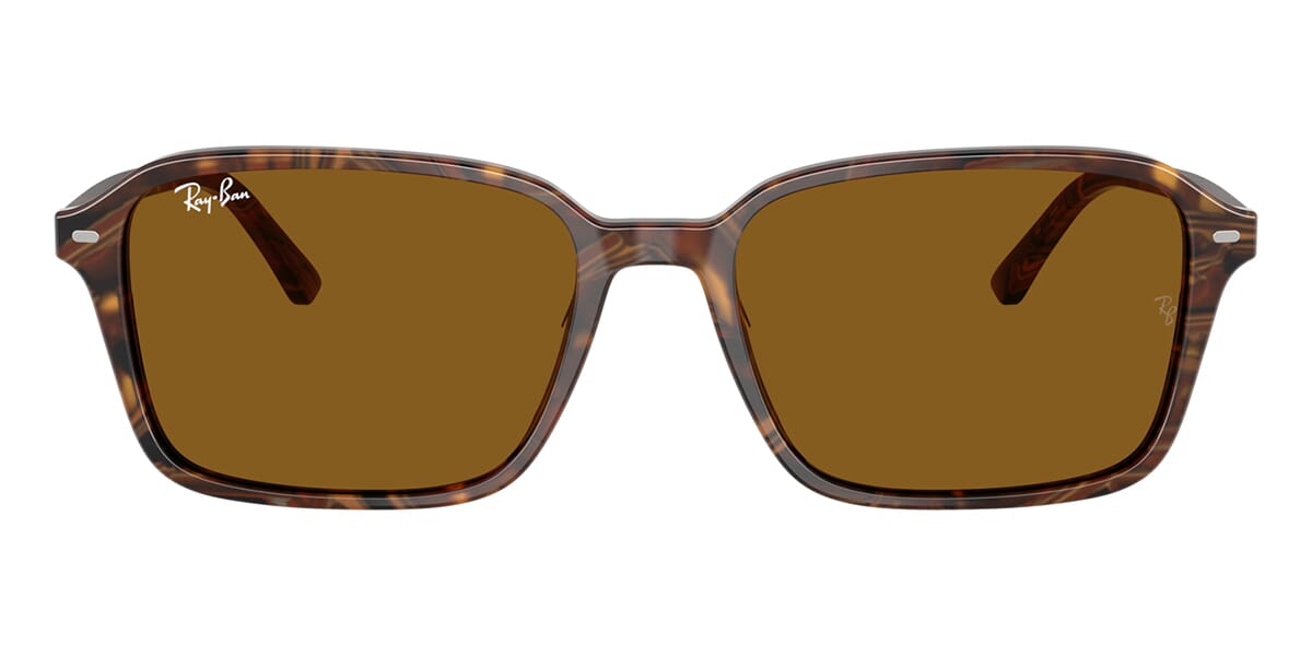 Ray-Ban Raimond RB 2231 1418/33 Sunglasses