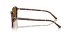 Ray-Ban Raimond RB 2231 1418/33 Sunglasses