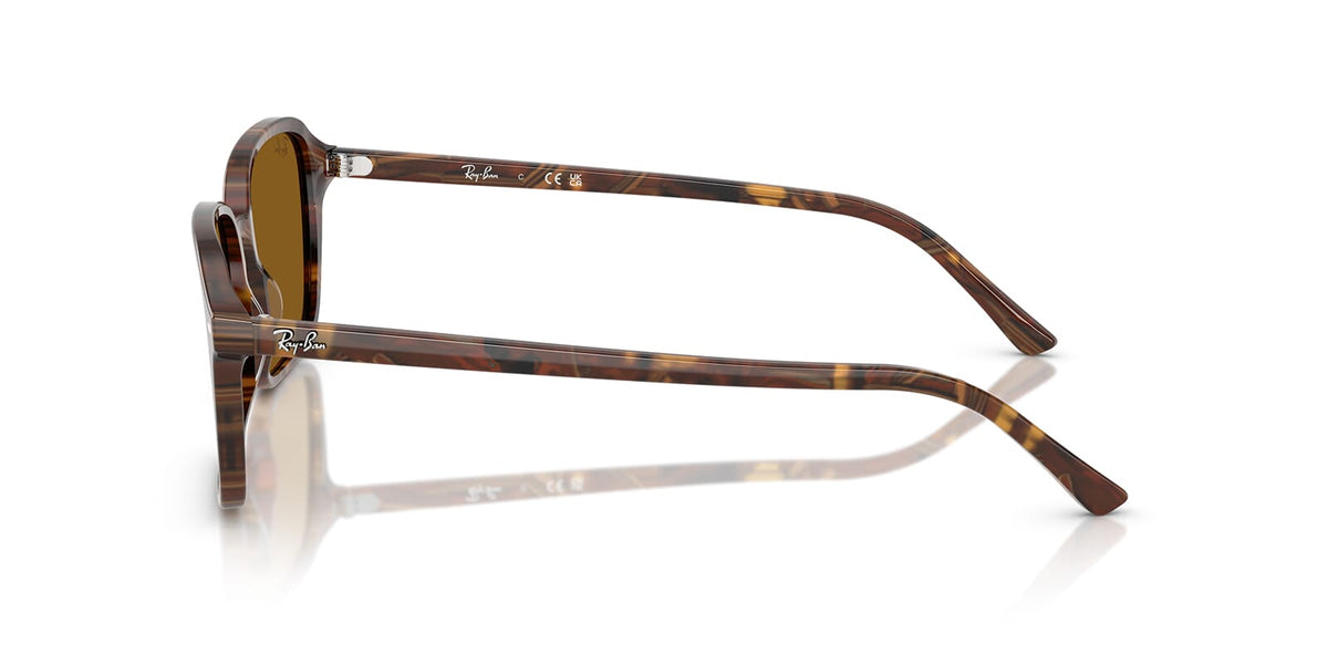 Ray-Ban Raimond RB 2231 1418/33 Sunglasses