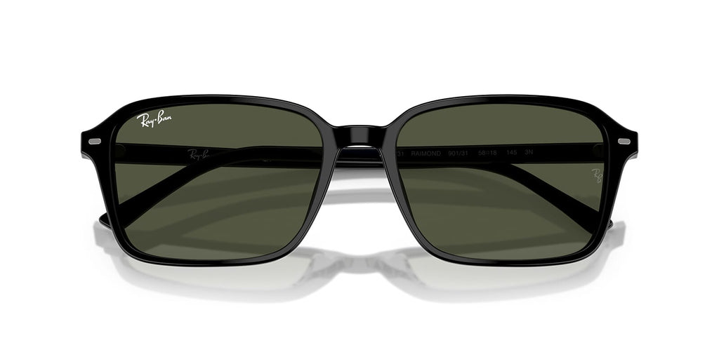 Ray-Ban Raimond RB 2231 901/31 Sunglasses