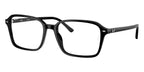 Ray-Ban Raimond RB 2231 901/GG Sunglasses