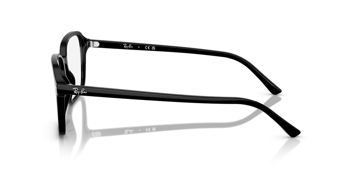 Ray-Ban Raimond RB 2231 901/GG Sunglasses