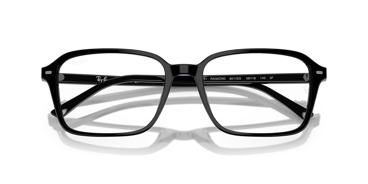 Ray-Ban Raimond RB 2231 901/GG Sunglasses