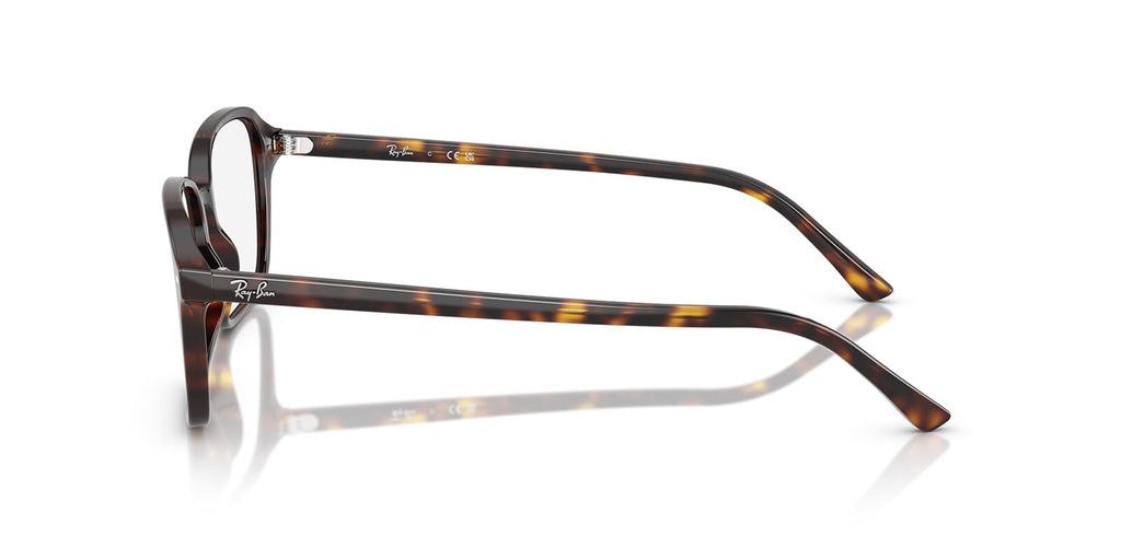 Ray-Ban Raimond RB 5431 2012 Glasses