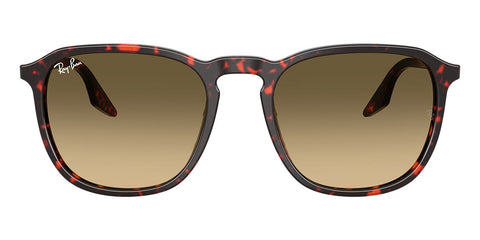 Ray-Ban RB 2203 1429/0A Sunglasses